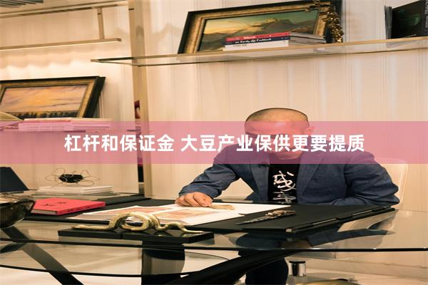 杠杆和保证金 大豆产业保供更要提质