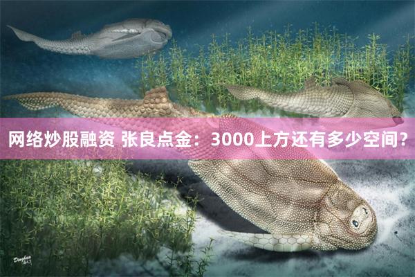 网络炒股融资 张良点金：3000上方还有多少空间？