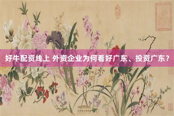 好牛配资线上 外资企业为何看好广东、投资广东？