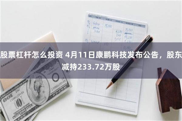 股票杠杆怎么投资 4月11日康鹏科技发布公告，股东减持233.72万股