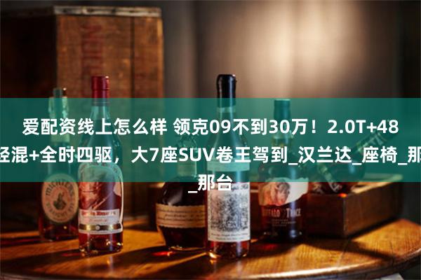 爱配资线上怎么样 领克09不到30万！2.0T+48V轻混+全时四驱，大7座SUV卷王驾到_汉兰达_座椅_那台
