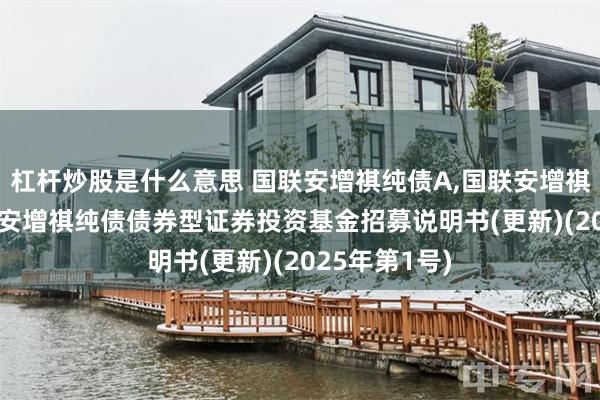 杠杆炒股是什么意思 国联安增祺纯债A,国联安增祺纯债C: 国联安增祺纯债债券型证券投资基金招募说明书(更新)(2025年第1号)