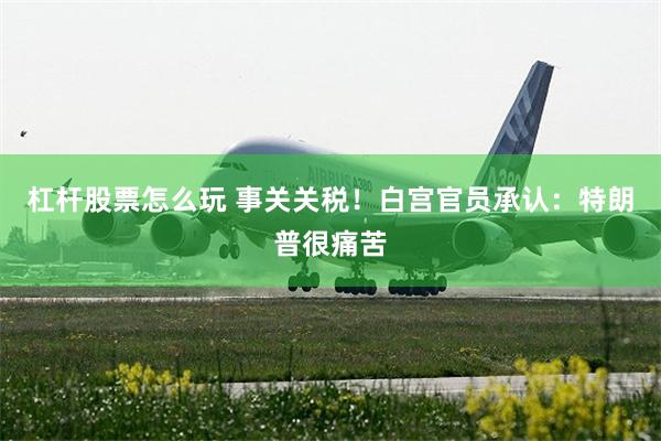 杠杆股票怎么玩 事关关税！白宫官员承认：特朗普很痛苦
