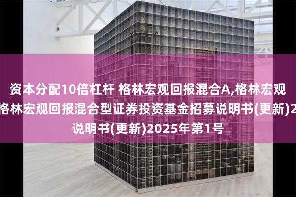 资本分配10倍杠杆 格林宏观回报混合A,格林宏观回报混合C: 格林宏观回报混合型证券投资基金招募说明书(更新)2025年第1号