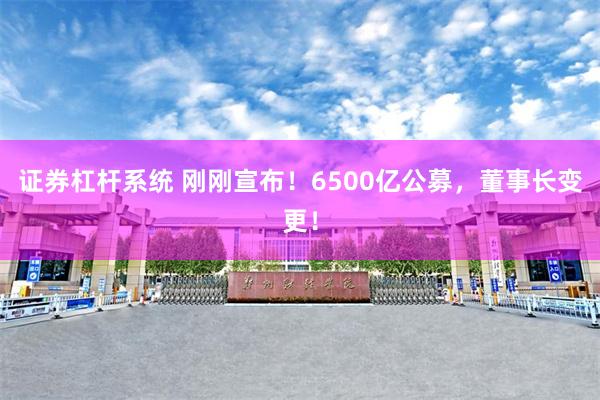 证券杠杆系统 刚刚宣布！6500亿公募，董事长变更！