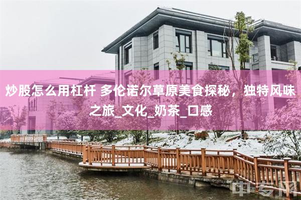炒股怎么用杠杆 多伦诺尔草原美食探秘，独特风味之旅_文化_奶茶_口感