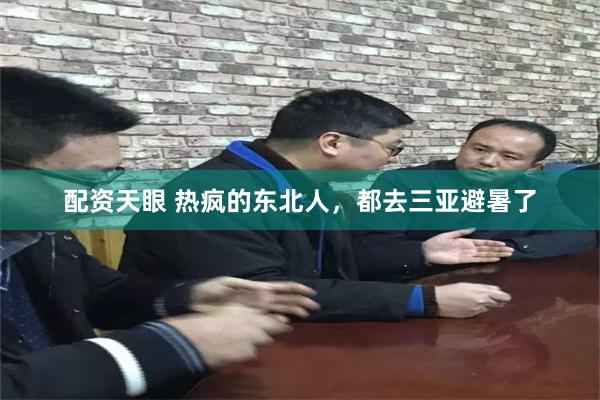 配资天眼 热疯的东北人，都去三亚避暑了
