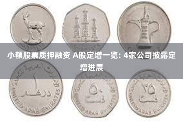 小额股票质押融资 A股定增一览: 4家公司披露定增进展